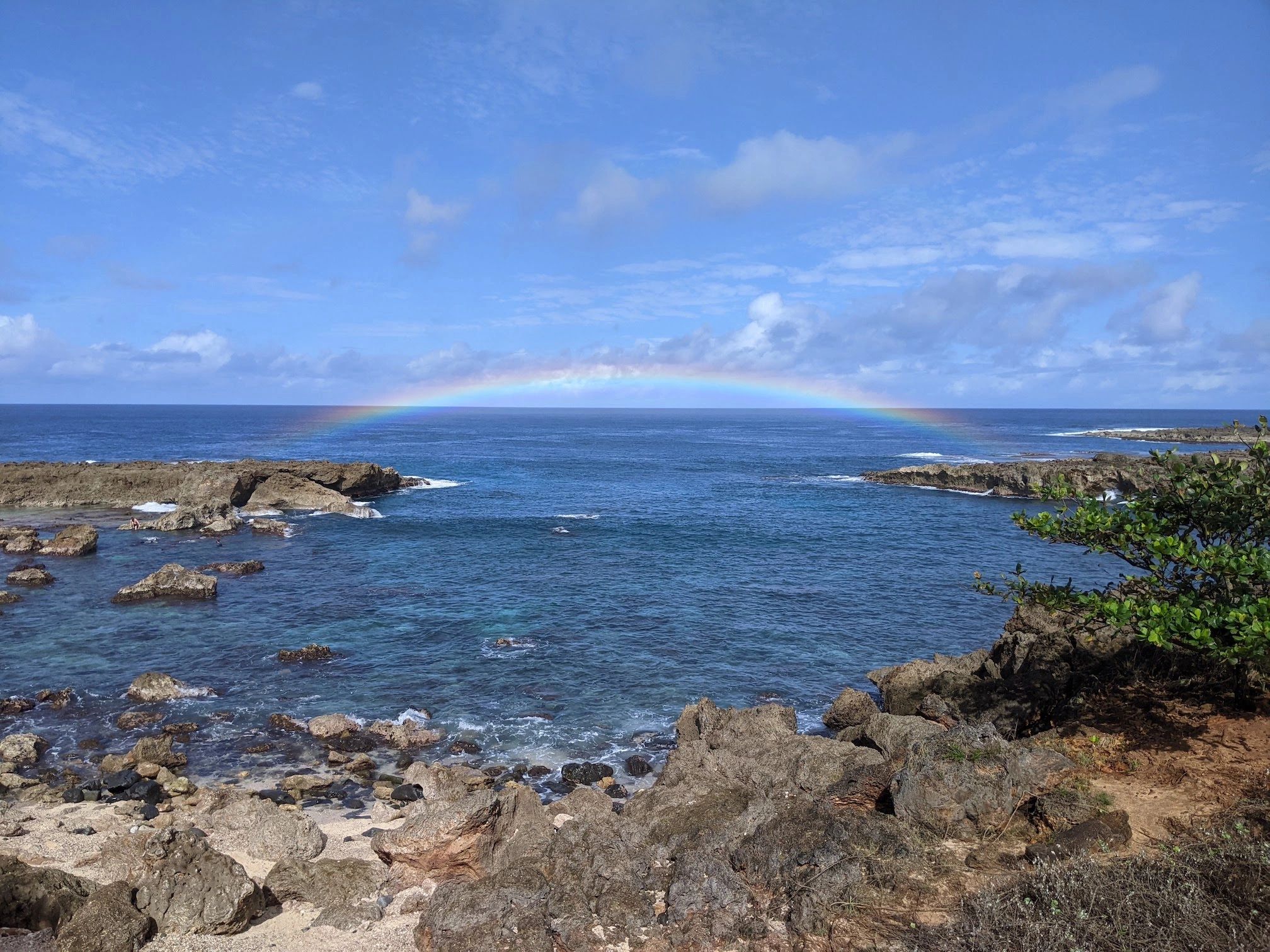 Sharks Cove, North Shore SaveSharksCoveAlliance Honolulu, Hawaii